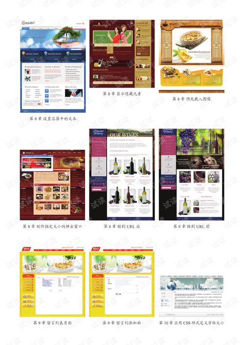 網頁設計從入門到精通 Dreamweaver、Flash、Photoshop與HTML/CSS/JavaScript全攻略